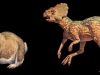 Microceratops.jpg